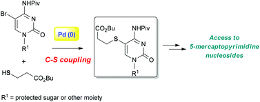 Graphical abstract: A general approach to the synthesis of 5-S-functionalized pyrimidine nucleosides and their analogues