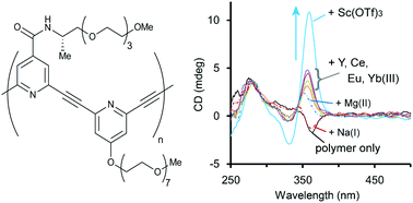 Graphical abstract: Highly efficient stabilisation of meta-ethynylpyridine polymers with amide side chains in water by coordination of rare-earth metals