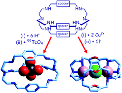 Graphical abstract: Bistren cryptands and cryptates: versatile receptors for anion inclusion and recognition in water