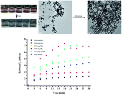 Graphical abstract: AuNP based selective colorimetric sensor for cysteine at a wide pH range: investigation of capping molecule structure on the colorimetric sensing and catalytic properties