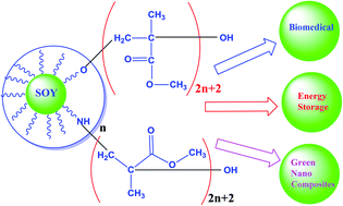 Graphical abstract: PMMA-g-SOY as a sustainable novel dielectric material