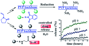 Graphical abstract: Synthesis of randomly aminated polyvinylpyrrolidone and its use in the preparation of hydrolyzable conjugates