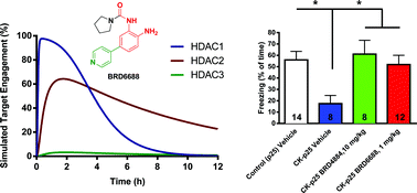 Graphical abstract: Kinetically selective inhibitors of histone deacetylase 2 (HDAC2) as cognition enhancers