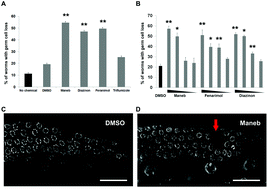 Graphical abstract: Reproductive toxicity and meiotic dysfunction following exposure to the pesticides Maneb, Diazinon and Fenarimol