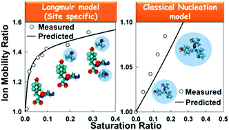 Graphical abstract: Modeling vapor uptake induced mobility shifts in peptide ions observed with transversal modulation ion mobility spectrometry-mass spectrometry