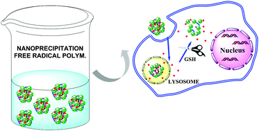 Graphical abstract: One-pot synthesis of doxorubicin-loaded multiresponsive nanogels based on hyperbranched polyglycerol