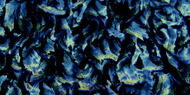 Graphical abstract: Pseudomorphic transformation of amorphous calcium carbonate films follows spherulitic growth mechanisms and can give rise to crystal lattice tilting