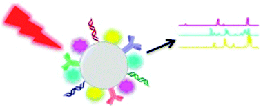 Graphical abstract: Multiplex in vitro detection using SERS