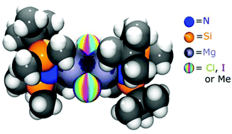 Graphical abstract: Salt metathesis versus protonolysis routes for the synthesis of silylamide Hauser base (R2NMgX; X = halogen) and amido-Grignard (R2NMgR) complexes