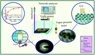 Graphical abstract: Selective microwave sensors exploiting the interaction of analytes with trap states in TiO2 nanotube arrays