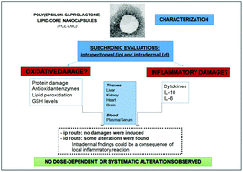 Graphical abstract: Do poly(epsilon-caprolactone) lipid-core nanocapsules induce oxidative or inflammatory damage after in vivo subchronic treatment?