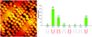 Graphical abstract: Selection of conformational states in surface self-assembly for a molecule with eight possible pairs of surface enantiomers