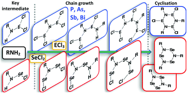 Graphical abstract: Insights into the formation of inorganic heterocycles via cyclocondensation of primary amines with group 15 and 16 halides