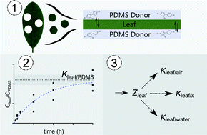 Graphical abstract: A passive dosing method to determine fugacity capacities and partitioning properties of leaves