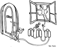 Graphical abstract: Zinc transport and the inhibition of the L-type calcium channel are two separable functions of ZnT-1