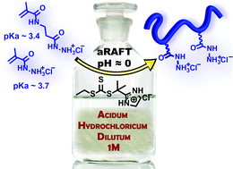 Graphical abstract: Aqueous RAFT at pH zero: enabling controlled polymerization of unprotected acyl hydrazide methacrylamides