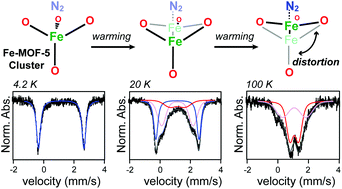 Graphical abstract: Dynamic structural flexibility of Fe-MOF-5 evidenced by 57Fe Mössbauer spectroscopy