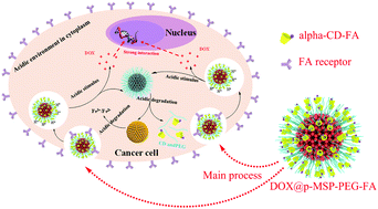 Graphical abstract: Flexible assembly of targeting agents on porous magnetic nano-cargos by inclusion complexation for accurate drug delivery