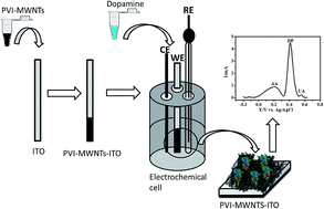 Graphical abstract: A new strategy for detecting dopamine in human serum using polymer brushes reinforced with carbon nanotubes