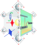 Graphical abstract: Ultrafast charge carrier dynamics in CH3NH3PbI3: evidence for hot hole injection into spiro-OMeTAD