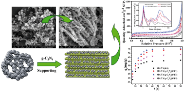 Graphical abstract: One-pot synthesis of g-C3N4-doped amine-rich porous organic polymer for chlorophenol removal