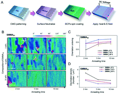 Graphical abstract: Electric field directed self-assembly of block copolymers for rapid formation of large-area complex nanopatterns