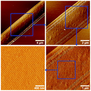 Graphical abstract: Preferred domain orientation in block copolymer fibers after solvent annealing