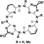 Graphical abstract: Synthesis and conformational structure of hydrazo-bridged homo calix[2]pyridine[2]triazines