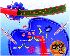 Graphical abstract: Breaking the reduced glutathione-activated antioxidant defence for enhanced photodynamic therapy