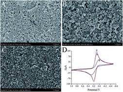 Graphical abstract: A sensitive and regenerative electrochemical immunosensor for quantitative detection of Escherichia coli O157:H7 based on stable polyaniline coated screen-printed carbon electrode and rGO-NR-Au@Pt