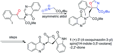 Graphical abstract: Catalytic stereoselective total synthesis of a spiro-oxindole alkaloid and the pentacyclic core of tryptoquivalines