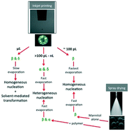 Graphical abstract: Crystallisation in printed droplets: understanding crystallisation of d-mannitol polymorphs