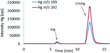 Graphical abstract: Hg isotope ratio measurements of methylmercury in fish tissues using HPLC with off line cold vapour generation MC-ICPMS