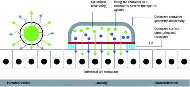 Graphical abstract: Microfabricated devices for oral drug delivery