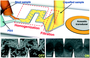 Graphical abstract: On-chip stool liquefaction via acoustofluidics