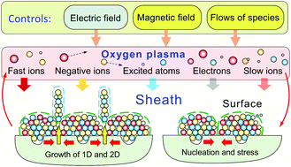 Graphical abstract: Oxygen plasmas: a sharp chisel and handy trowel for nanofabrication