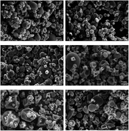 Graphical abstract: The stability and bioaccessibility of fucoxanthin in spray-dried microcapsules based on various biopolymers