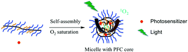 Graphical abstract: Perfluorocarbon-based O2 nanocarrier for efficient photodynamic therapy