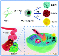 Graphical abstract: Dual-template cascade synthesis of highly multi-branched Au nanoshells with ultrastrong NIR absorption and efficient photothermal therapeutic intervention