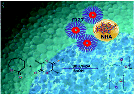 Graphical abstract: Oil-in-eutectic mixture HIPEs co-stabilized with surfactant and nanohydroxyapatite: ring-opening polymerization for nanocomposite scaffold synthesis