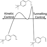 Graphical abstract: Hydrogen tunnelling in the rearrangements of carbenes: the role of dynamical calculations