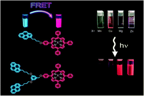 Graphical abstract: Synthesis and photophysical properties of novel pyrene–metalloporphyrin dendritic systems