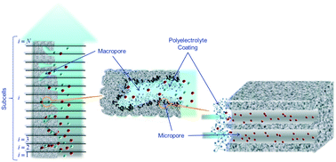 Graphical abstract: Soft electrodes in water desalination: application to multi-valent ions