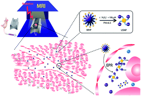 Graphical abstract: A nano-integrated diagnostic and therapeutic platform with oxidation–reduction reactions in tumor microenvironments