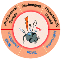 Graphical abstract: Biomedical and bioimaging applications of 2D pnictogens and transition metal dichalcogenides