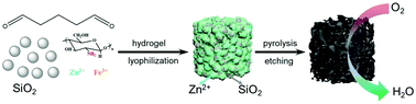 Graphical abstract: Multiscale porous Fe–N–C networks as highly efficient catalysts for the oxygen reduction reaction