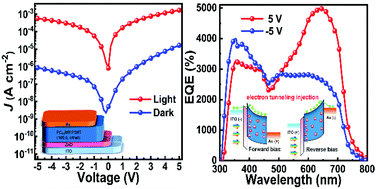 Graphical abstract: Photomultiplication type organic photodetectors based on electron tunneling injection