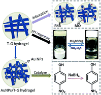 Graphical abstract: A facile preparation method for new two-component supramolecular hydrogels and their performances in adsorption, catalysis, and stimuli-response