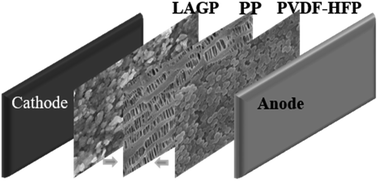 Graphical abstract: Asymmetrically coated LAGP/PP/PVDF–HFP composite separator film and its effect on the improvement of NCM battery performance