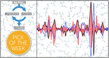 Graphical abstract: Taming conformational heterogeneity in and with vibrational circular dichroism spectroscopy